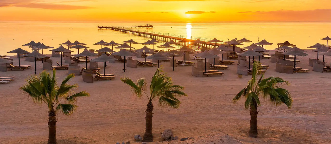 Snorkeling Trip to Abu Dabbab – Swim with Sea Turtles & Dugongs